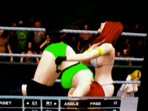 Jennifer Needles prepares to gutwrech powerbomb Brenda Rua (WWE 2011)